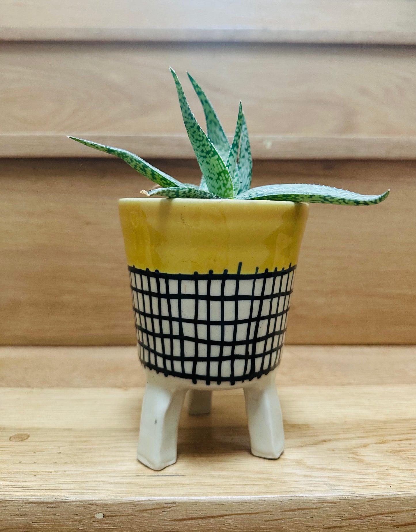 Small Leggy Planter - Mustard