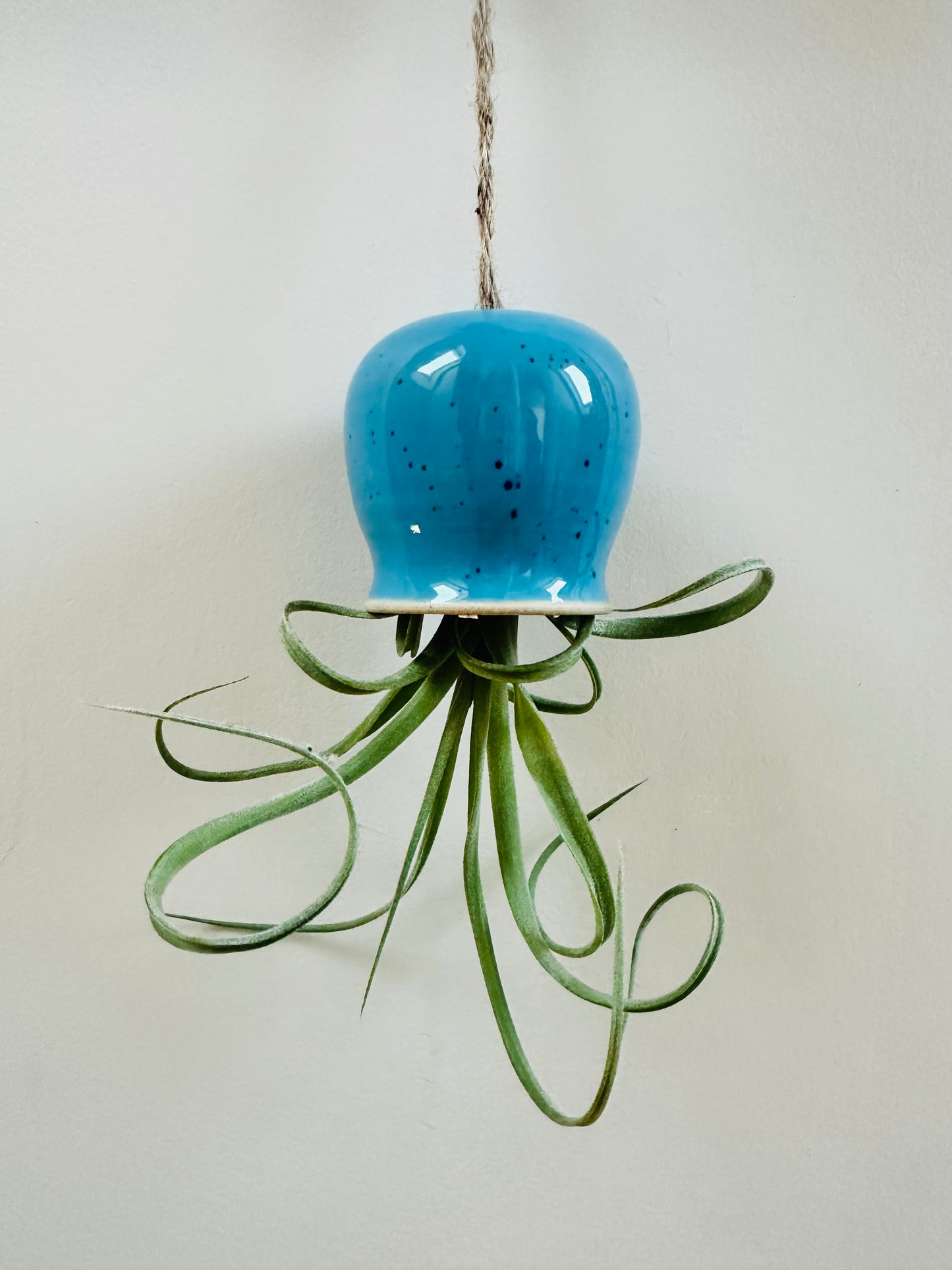 Blue Octopus Airplant