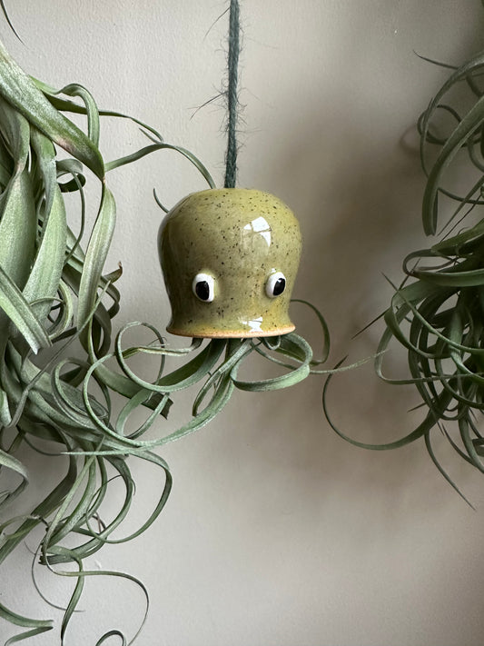 George the jellyfish - Curly Slim Airplant