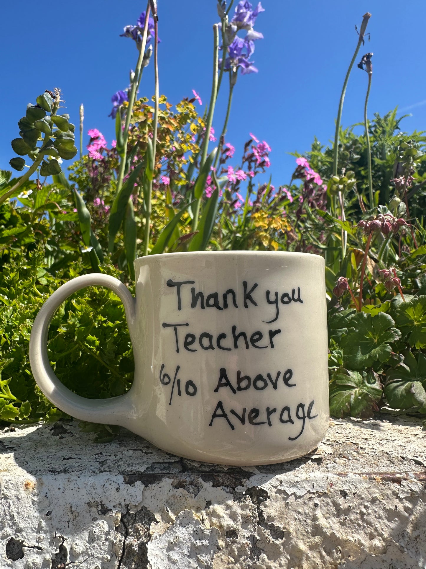 Teacher Mug 6/10