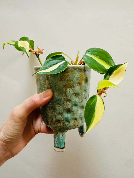 Small Leggy Dimpled Planter - under-the-sea