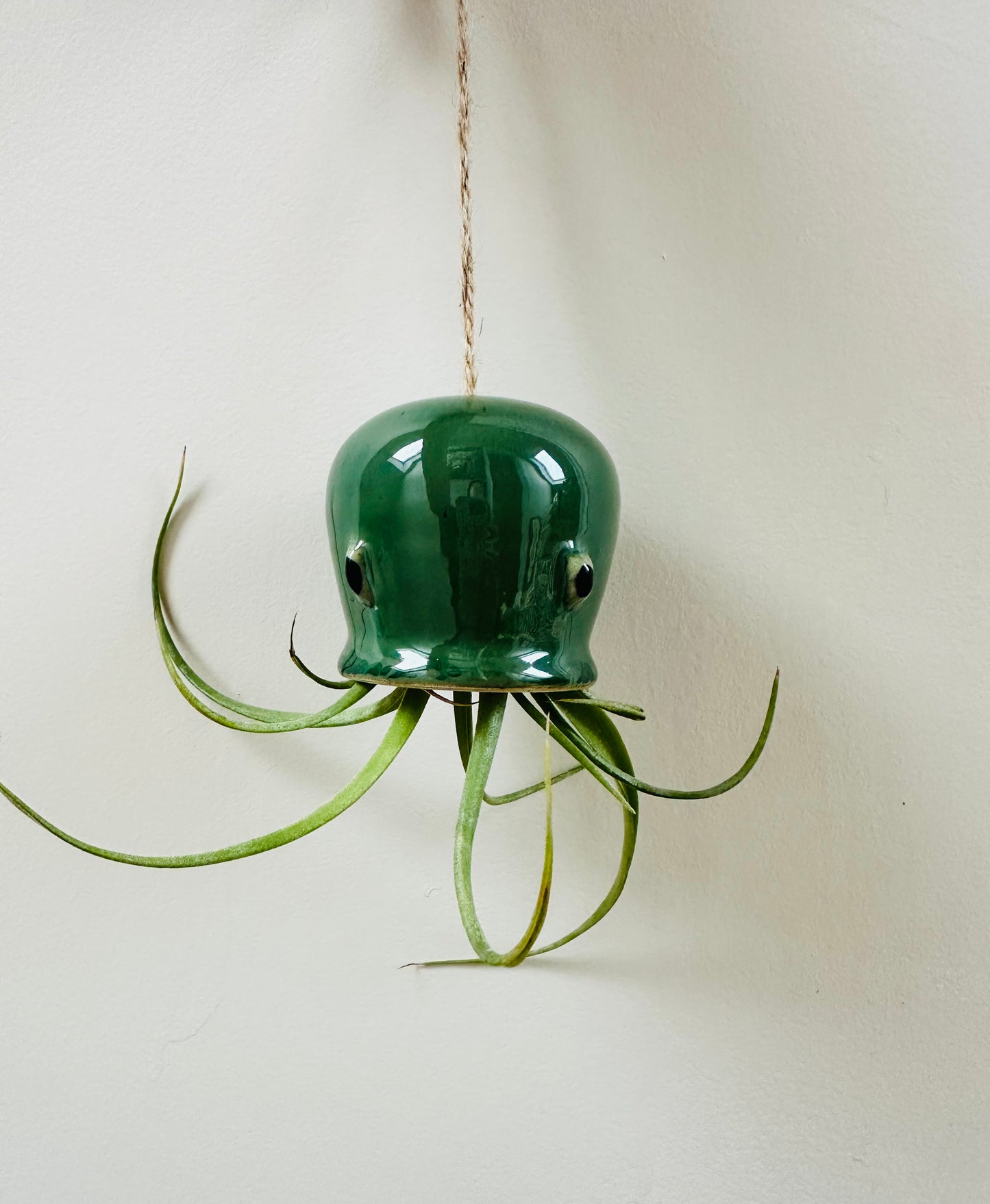 Green Octopus Airplant