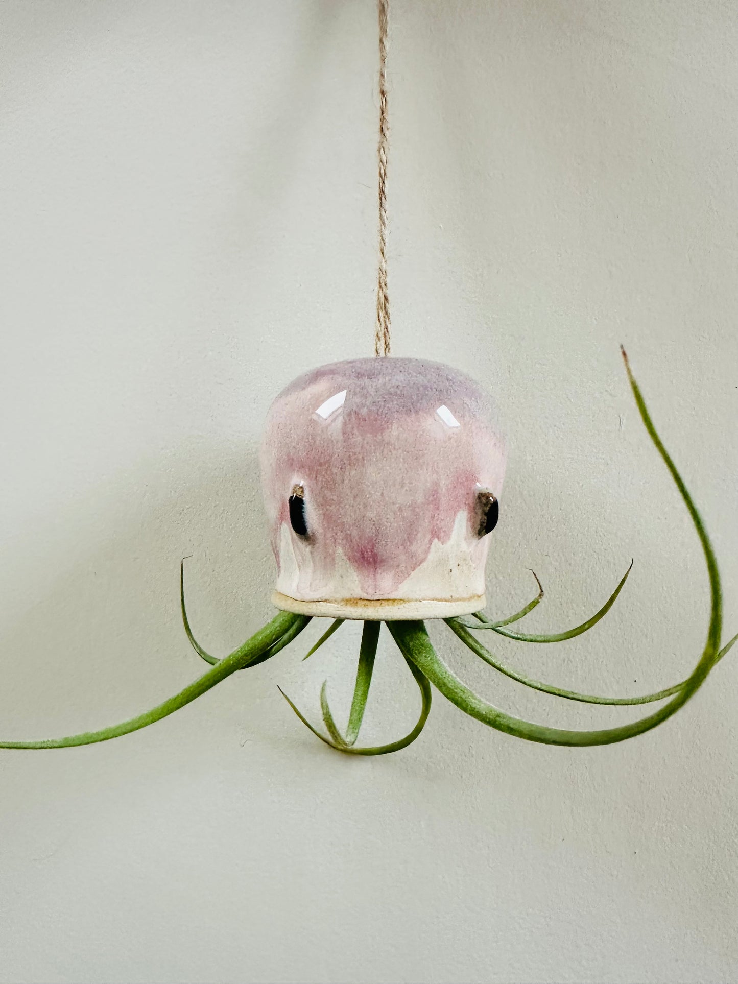 Pink Octopus Airplant