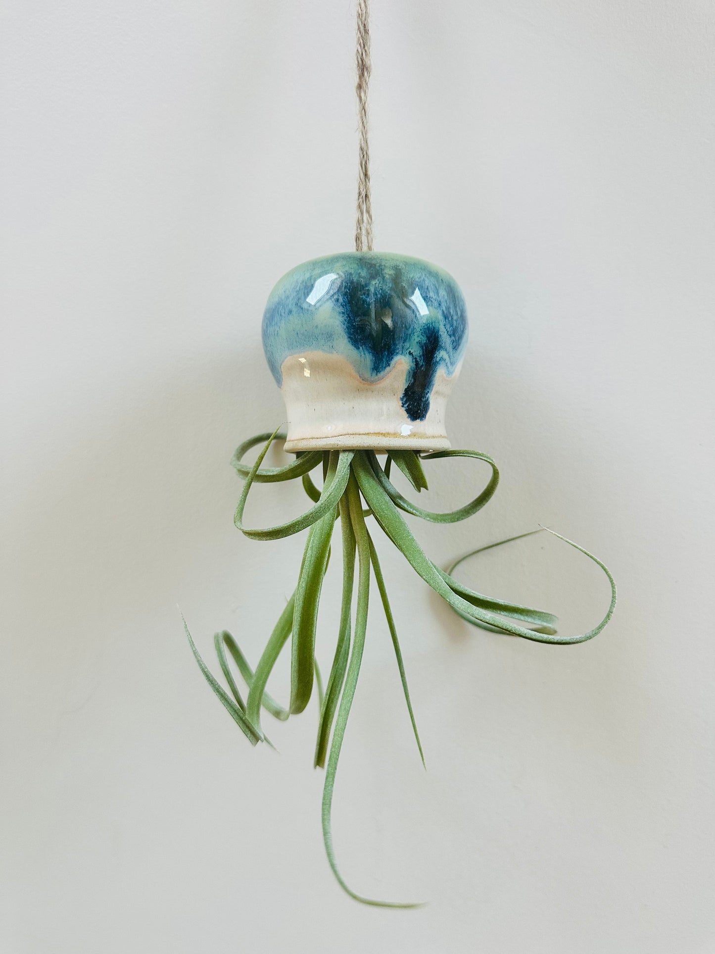 Drippy Octopus Airplant
