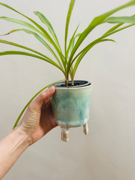 Small Leggy Planter - Drippy Aqua