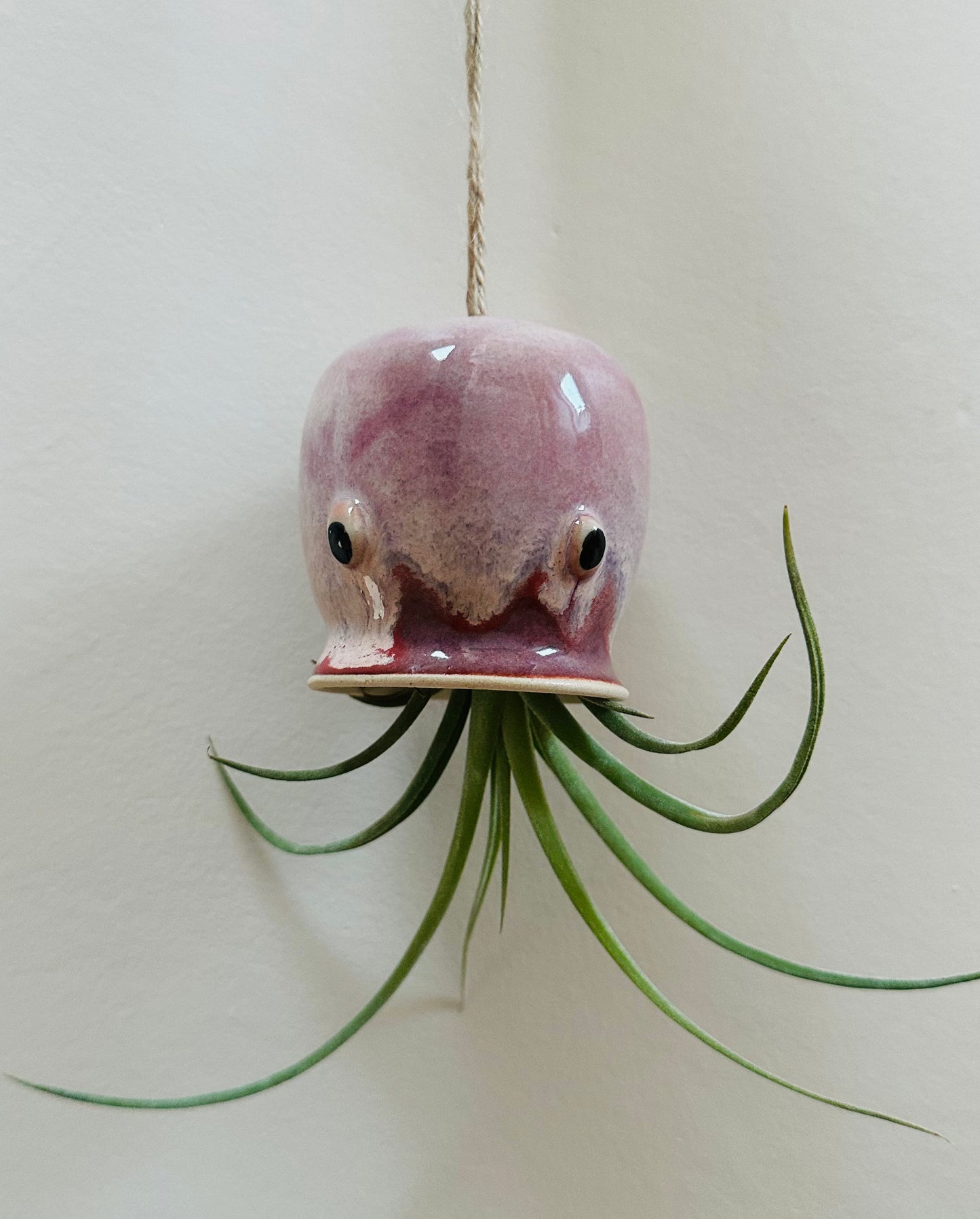 Radish Pink Octopus Airplant