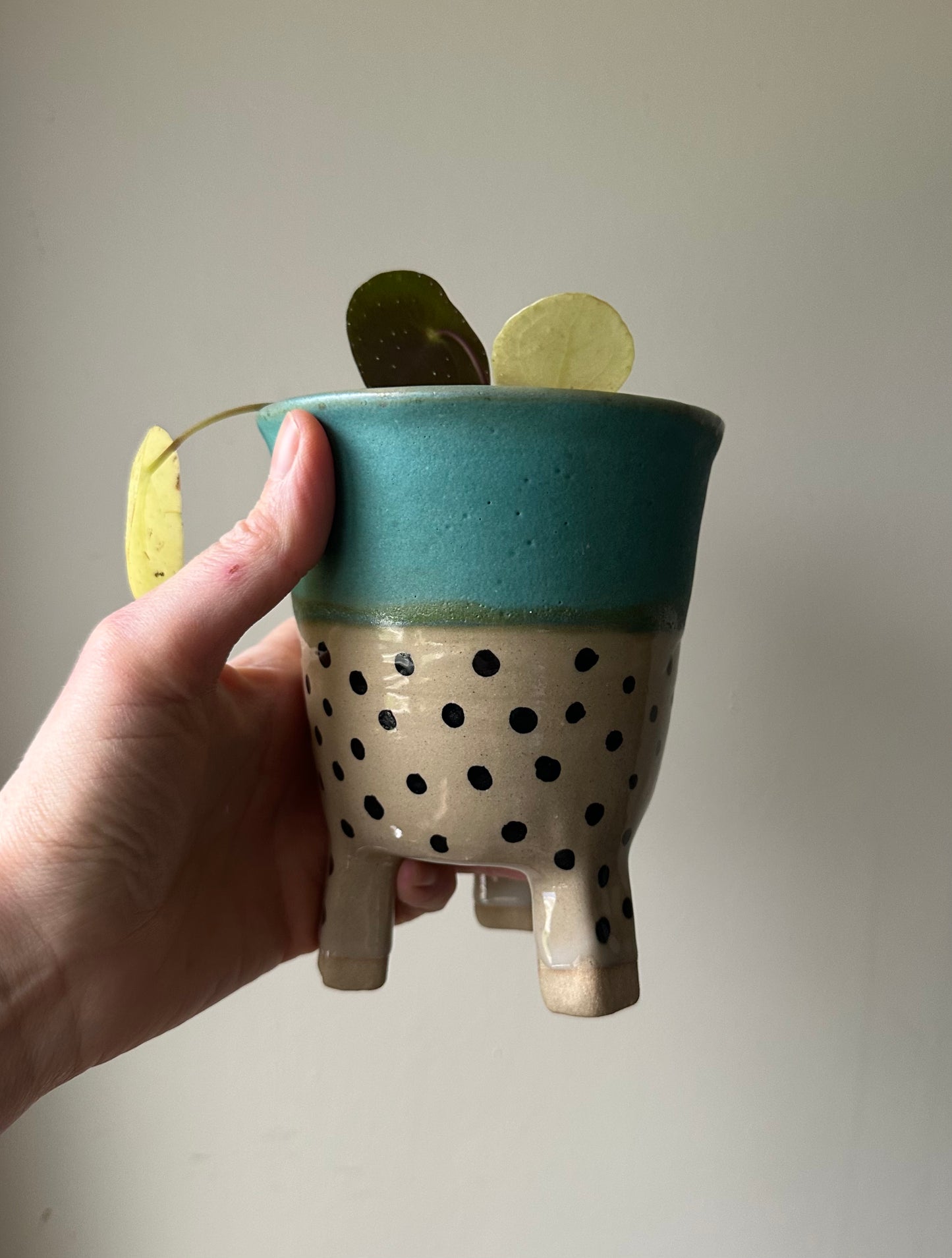 Small Leggy Planter