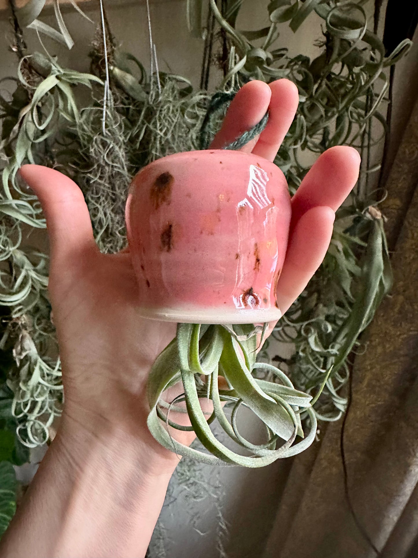 Pink Ceramic with Curly Slim Airplant