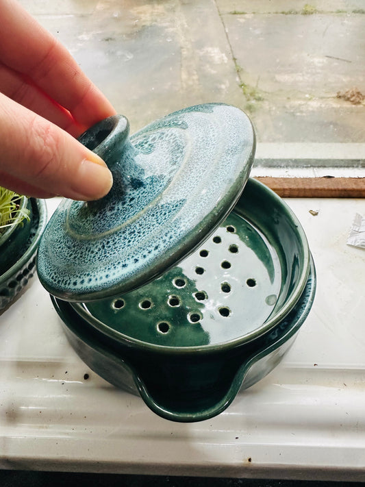 Microgreens Planter - Green