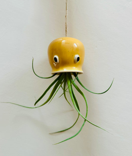 Mustard Octopus Airplant