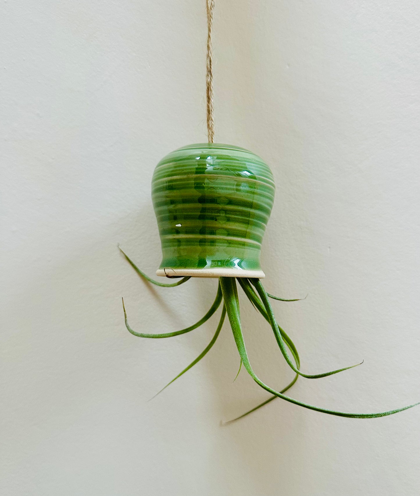 Green stripe Octopus Airplant