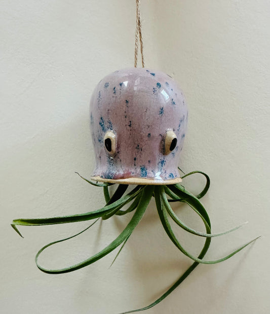 Lavender Octopus Airplant