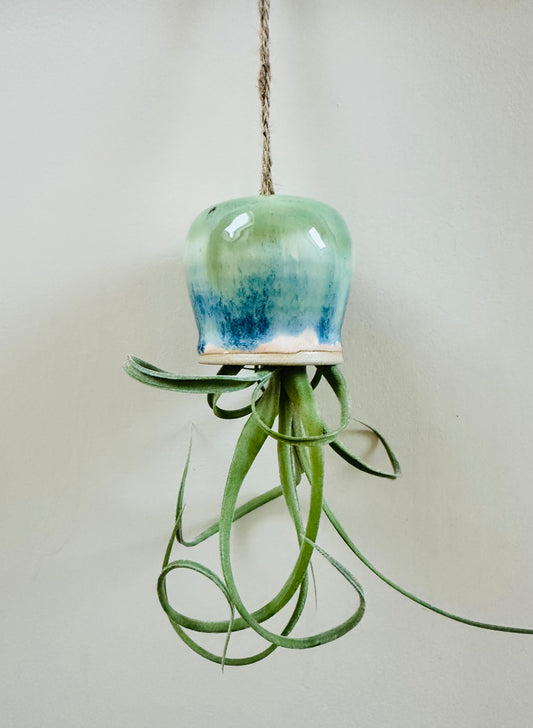 Drippy Octopus Airplant