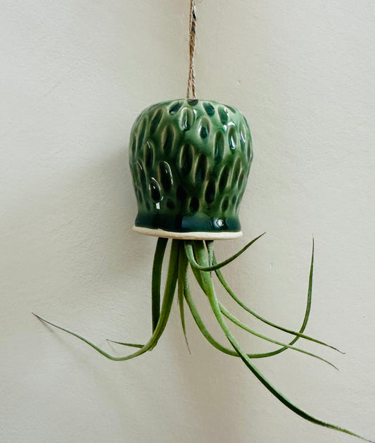 Green Carved Octopus Airplant