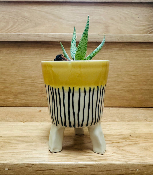 Small Leggy Planter - Mustard