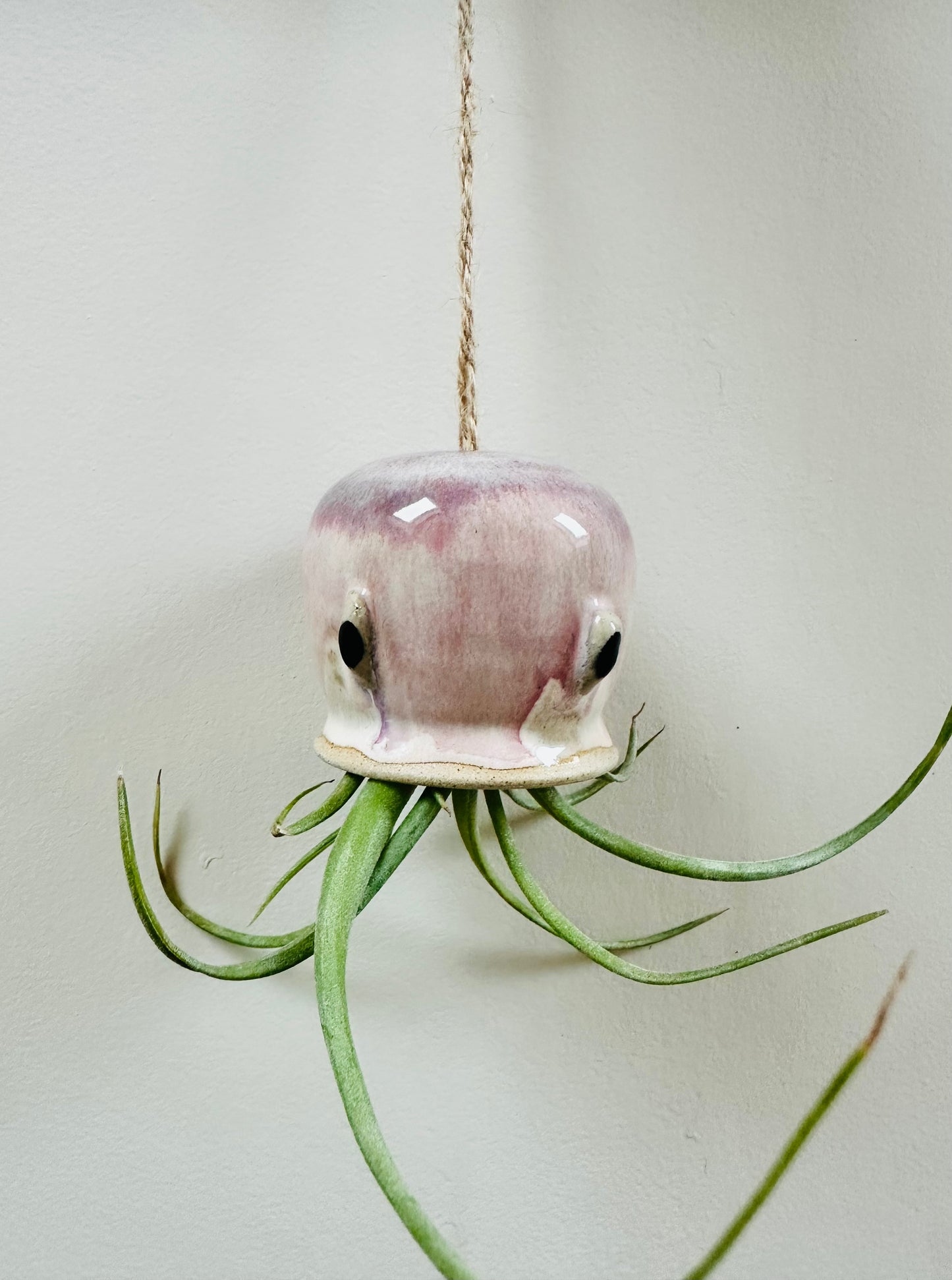 Pink Octopus Airplant