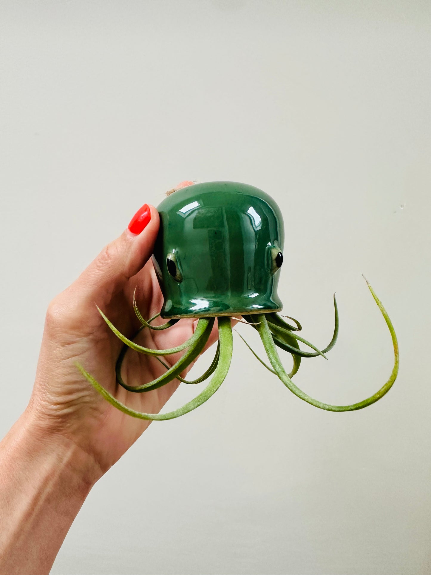 Green Octopus Airplant
