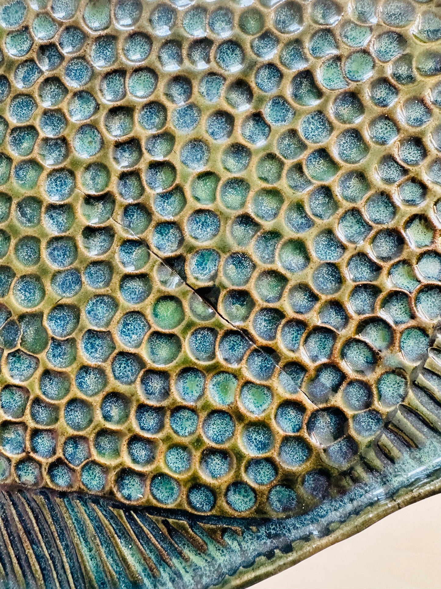 Fish - Wall Art - seconds