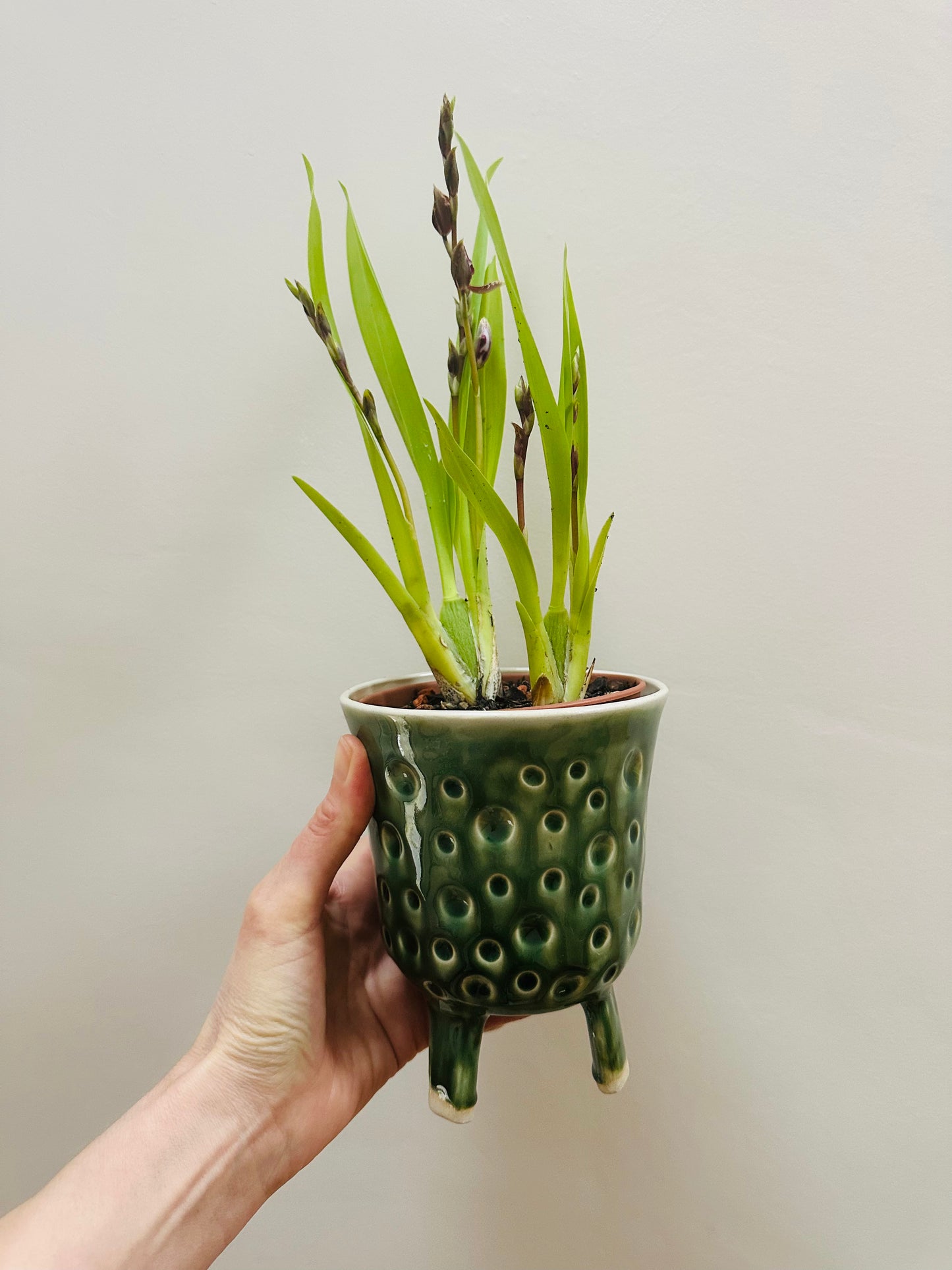 Leggy Planter - Dimpled Green