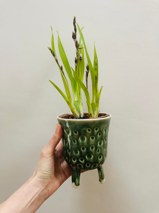 Leggy Planter - Dimpled Green