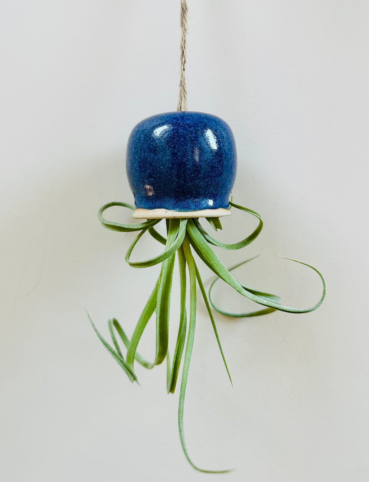 Inky Octopus Airplant