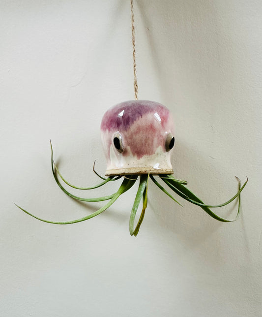 Slight Second Pink Octopus Airplant