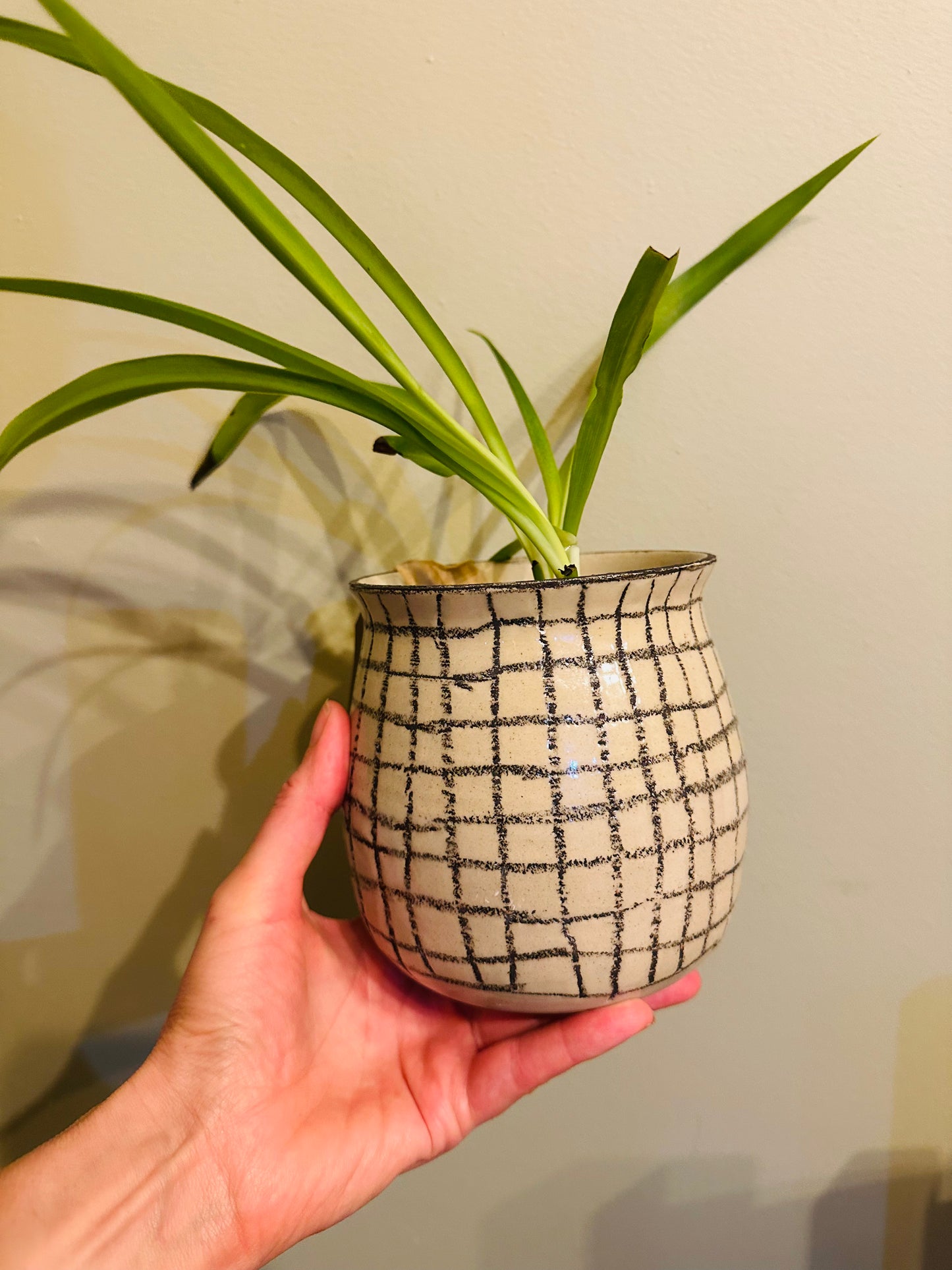 Drawn Check Planter