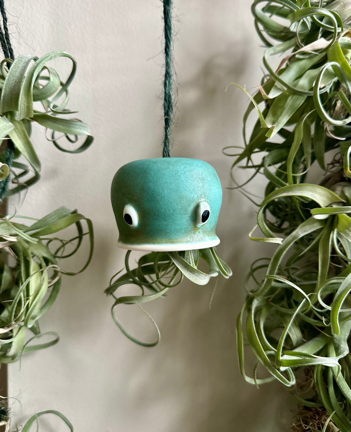 Geoffrey the jellyfish Airplant