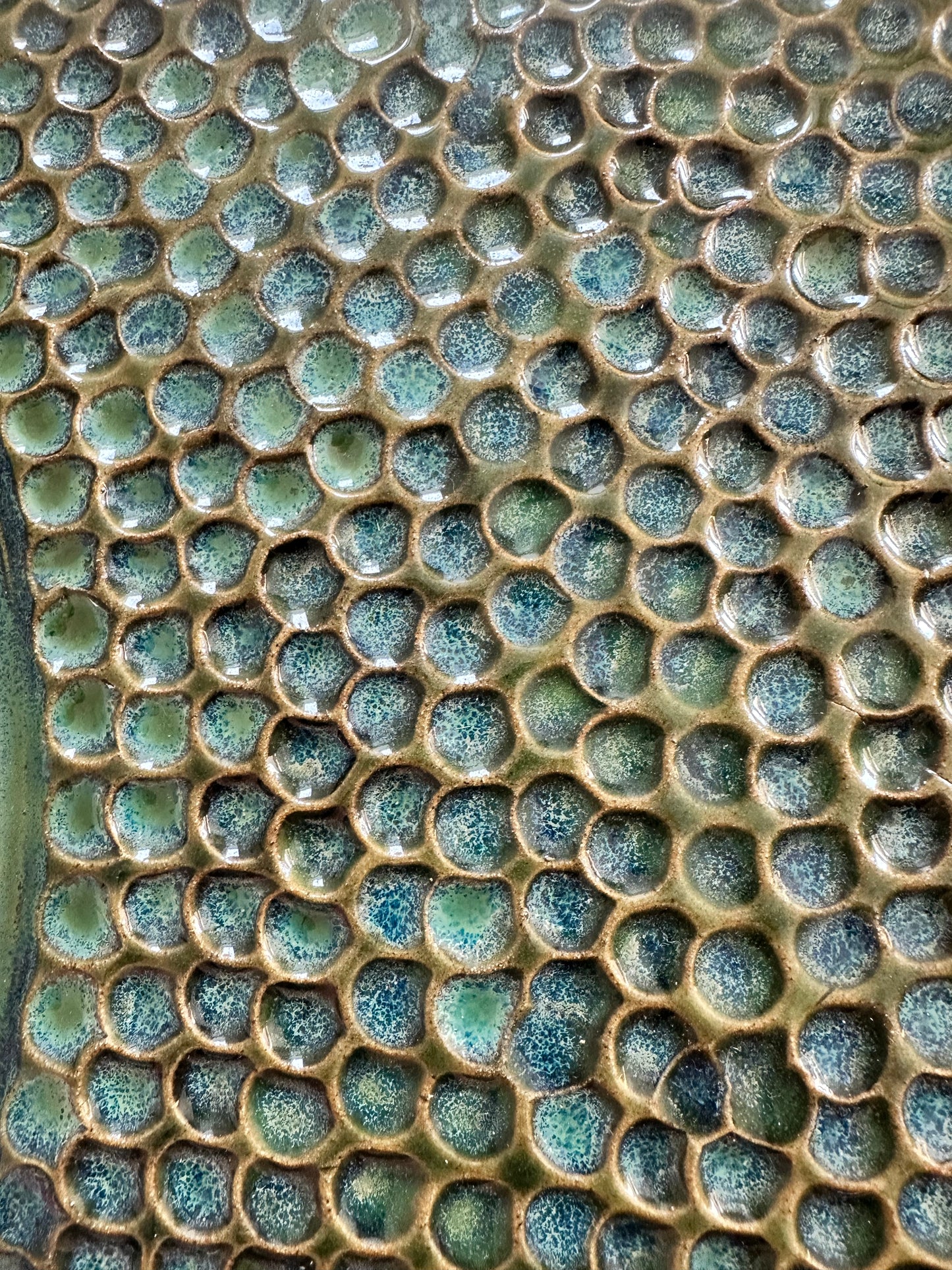 Fish - Wall Art - seconds