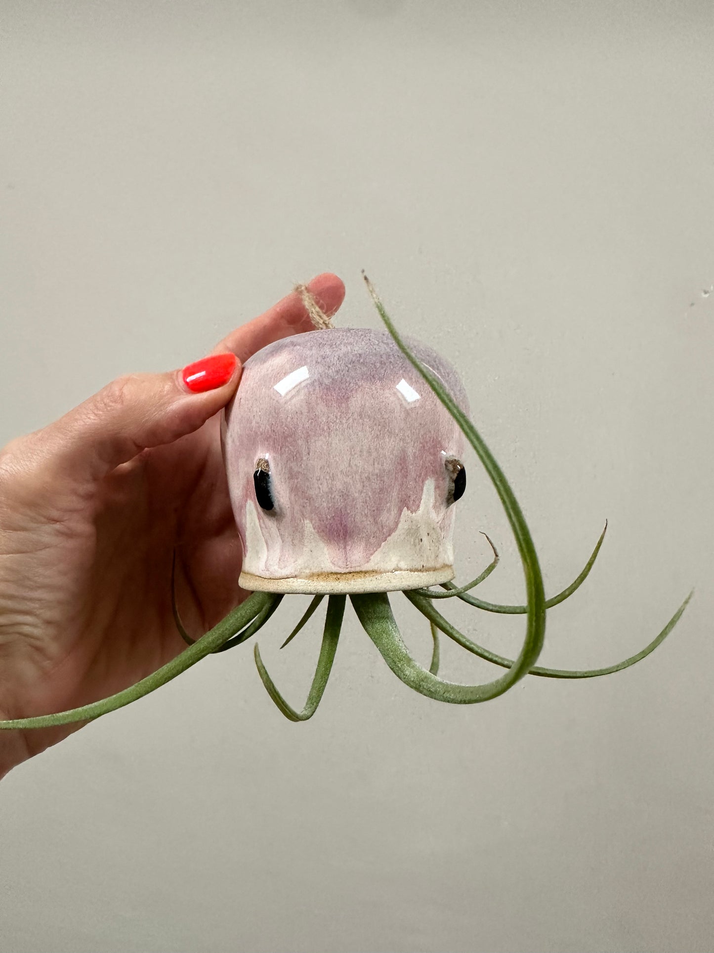 Pink Octopus Airplant