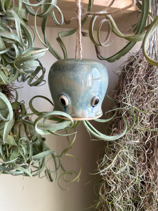 Gerald the jellyfish